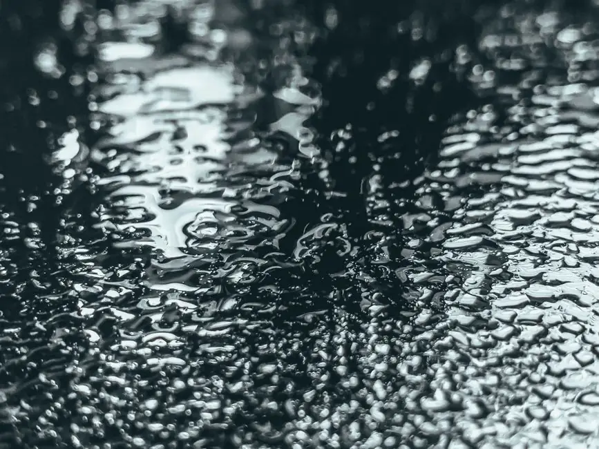 Why is my crawl space damp and how to restore it in Jacksonville
